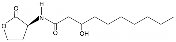 N-3-hydroxydecanoyl-L-Homoserine lactone