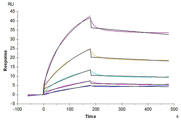 FITC-equivalent Human CD20 Protein-Nanodisc