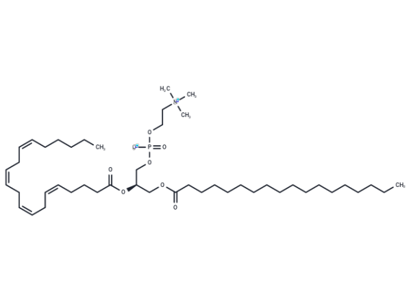 1-Stearoyl-2-arachidonoyl-sn-glycero-3-phosphocholine