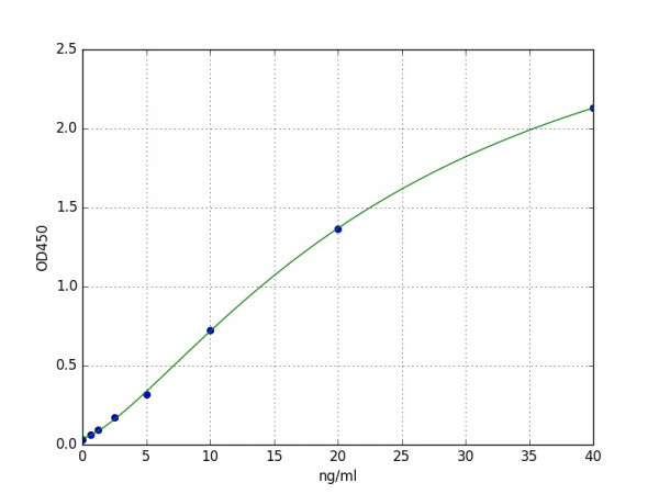 Human ANXA2 / Annexin A2 ELISA Kit