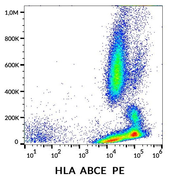 Anti-HLA ABCE (PE), clone TP25.99SF