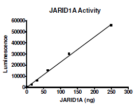 JARID1A Chemiluminescent Assay Kit