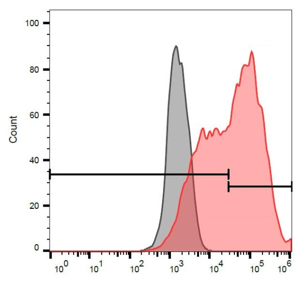 Anti-CD263, clone TRAIL-R3-02 (PE)