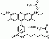 5(6)-Caroxyrhodamine 6G cadaverine