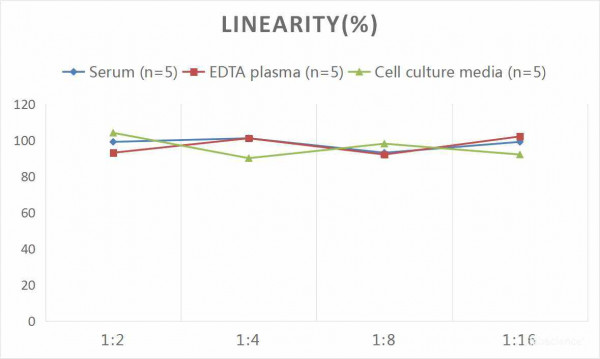 Human IL-4 (Interleukin 4) CLIA Kit