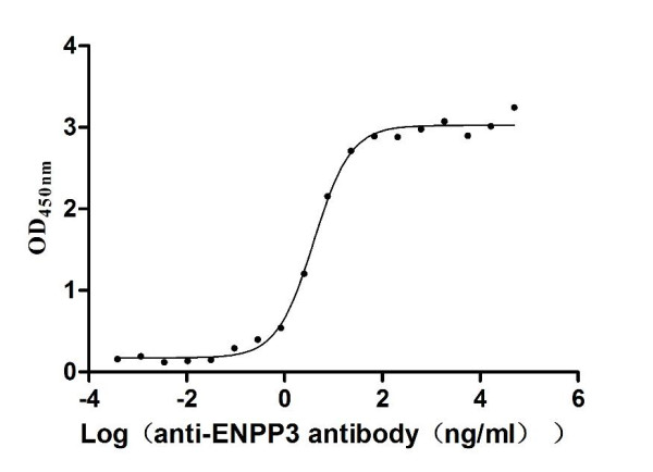 Anti-ENPP3 Recombinant Monoclonal, clone 3B2