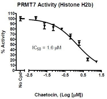 PRMT7 Homogeneous Assay Kit (Histone H2b)
