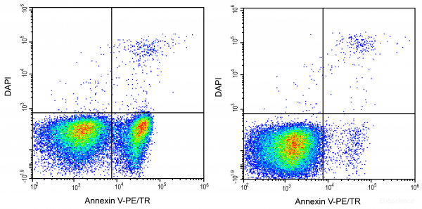 Annexin V-PE/TR / DAPI Apoptosis Detection Kit