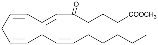 5-OxoETE methyl ester