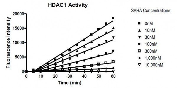 HDAC1 Kinetic Assay Kit