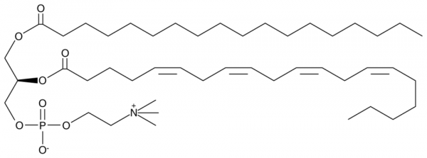 1-Stearoyl-2-Arachidonoyl PC