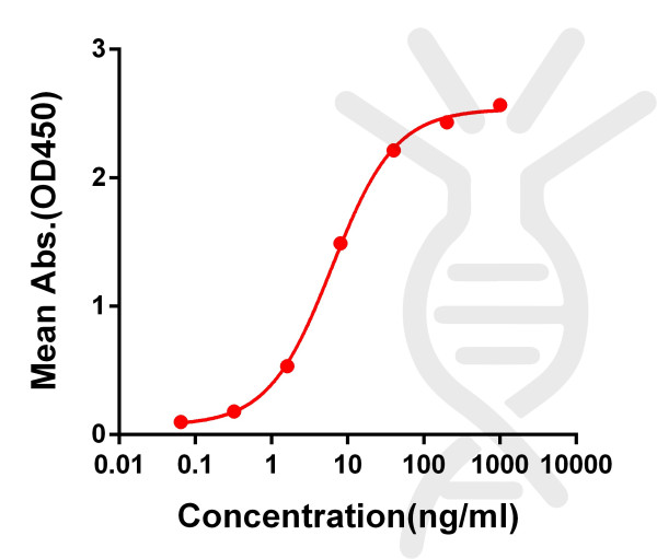 Anti-SARS-CoV-2 RBD antibody(DM55), Rabbit mAb