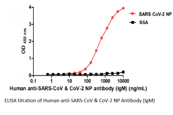 Human anti-SARS-CoV &amp; CoV-2 NP Antibody (IgM)