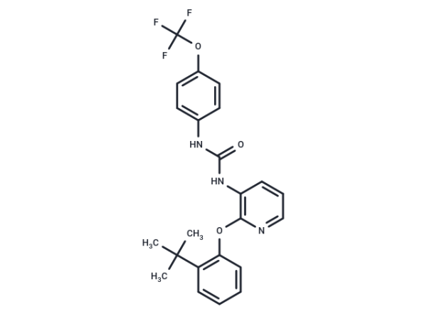 BPTU