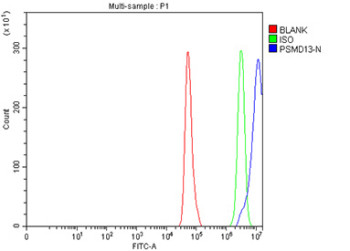 Anti-PSMD13 / 26S proteasome non-ATPase regulatory subunit 13
