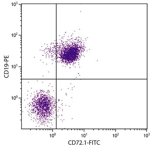 Anti-CD72 (FITC), clone 10.1.D2