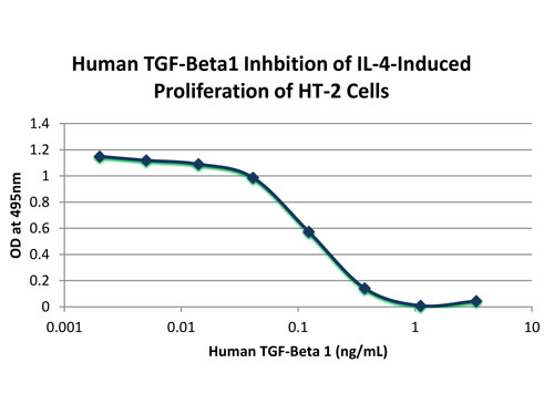 Transforming Growth Factor beta 1