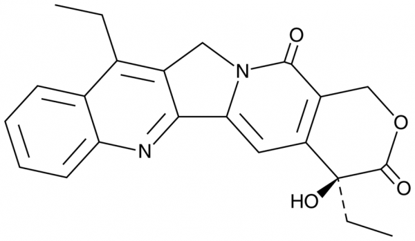 7-ethyl Camptothecin