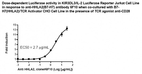 KIR3DL3/IL-2 Luciferase Reporter Jurkat Cell Line