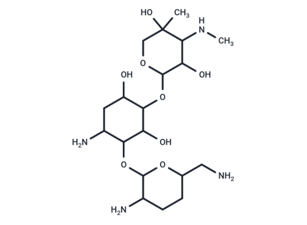 1-Deamino-1-hydroxygentamicin C1a