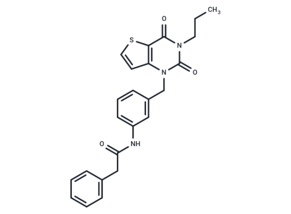 FEN1-IN-SC13