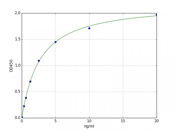 Human RUNX2 / CBFA1 ELISA Kit