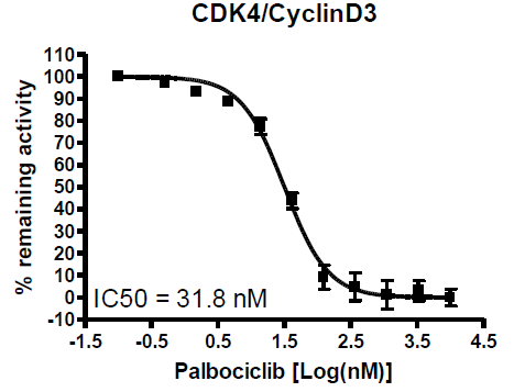 CDK4 Assay Kit