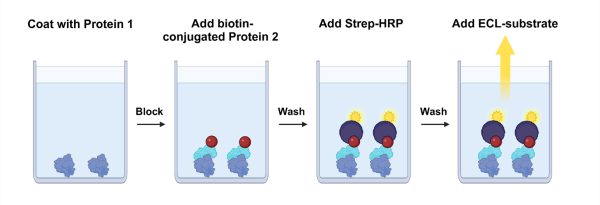 CD125 (IL-5RA): IL-5 [Biotinylated] Inhibitor Screening Chemiluminescence Assay Kit