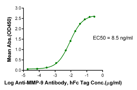 MMP-9, His &amp; Avi, Human