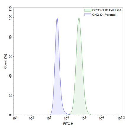FluoSite Anti-GPC3 Antibody, FITC-Labeled