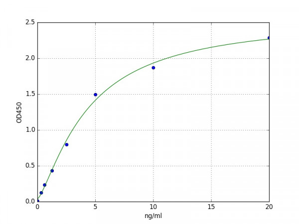 Mouse Slc16a1 / Monocarboxylate transporter 1 ELISA Kit