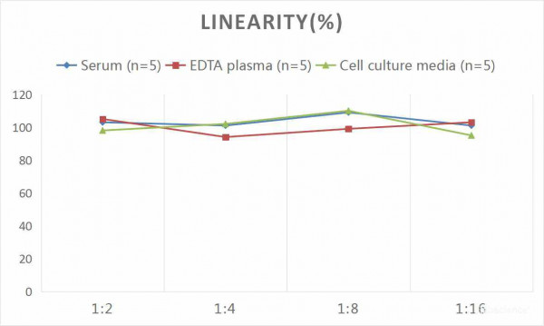 Human MMP-3 (Matrix Metalloproteinase 3) CLIA Kit