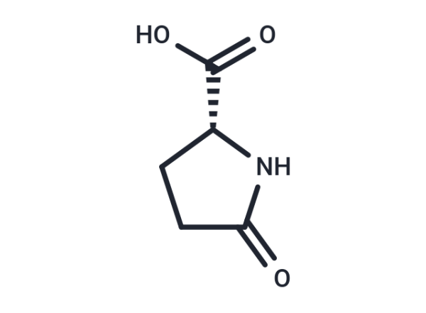 (R)-5-Oxopyrrolidine-2-carboxylic acid