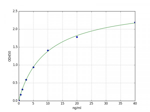 Human Histone Deacetylase 8 / HDAC8 ELISA Kit