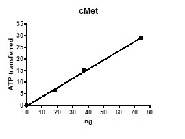 cMet, active human recombinant protein