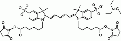 Cyanine 5 bissuccinimidyl ester [equivalent to Cy5(R) bisNHS ester]