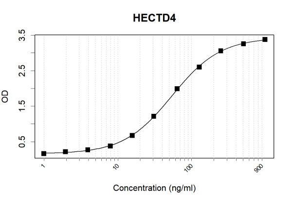 Anti-Human HECTD4 Antibody Pair
