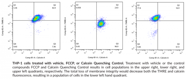 Mitochondrial PT Pore Assay Kit