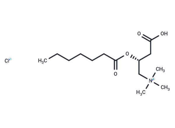 Heptanoyl-L-carnitine (chloride)