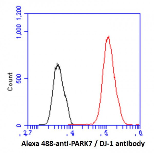 Anti-PARK7 / DJ-1, clone 1E12