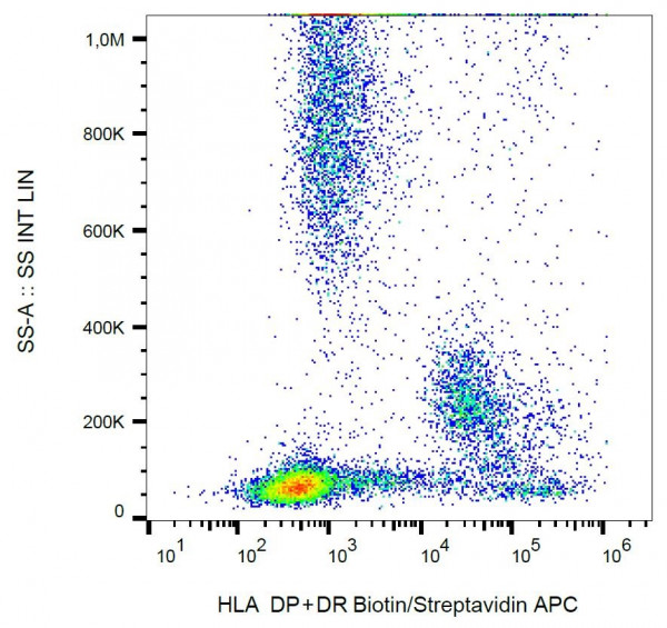 Anti-HLA-DR+DP, clone MEM-136 (Biotin)