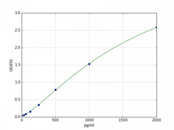 Human Interferon beta / IFN beta ELISA Kit