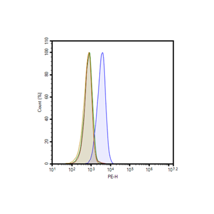 DLL3 Knockout SHP-77 Cell Line