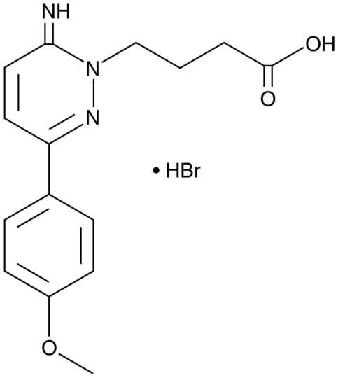 SR 95531 (hydrobromide)