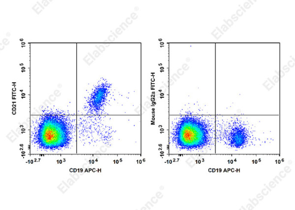 Anti-CD21 (human), clone HI21a, FITC conjugated