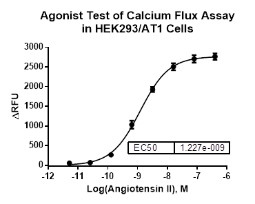 HEK293/AT1 Stable Cell Line