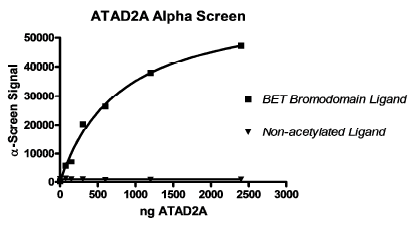 ATAD2A Inhibitor Screening Assay Kit