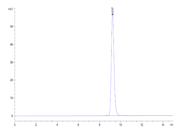 Biotinylated Human HLA-A*11:01&amp;B2M&amp;EGFR (KITDFGRAK) Monomer Protein