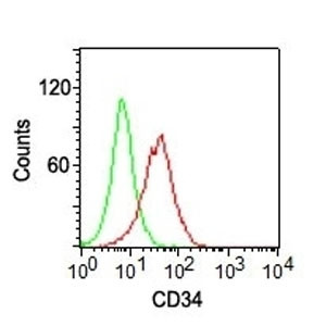 Anti-CD34, clone ICO-115