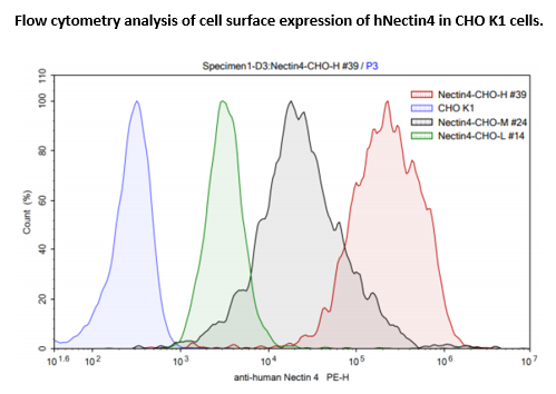 Nectin4 - CHO K1 Recombinant Cell Line (Low Expression)